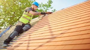 Best Skylight Installation and Repair  in Crewe, VA