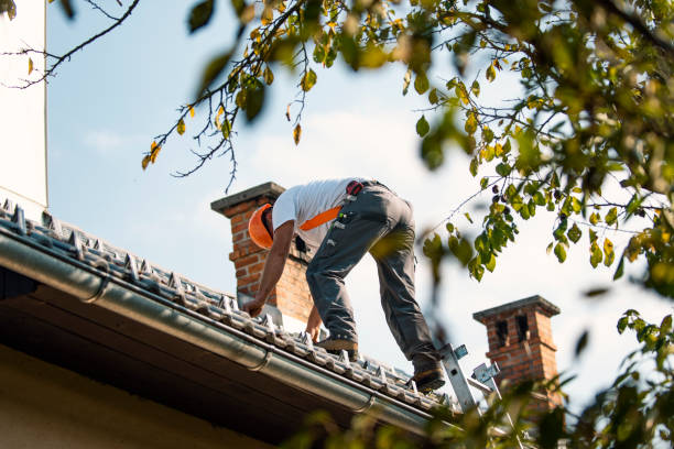 Best Cold Roofs  in Crewe, VA