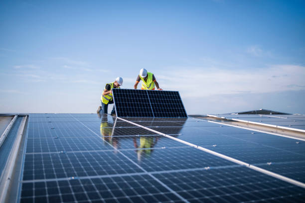 Best Roof Maintenance and Cleaning  in Crewe, VA