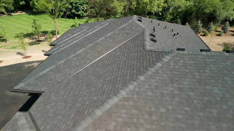 Best Roof Moss and Algae Removal  in Crewe, VA