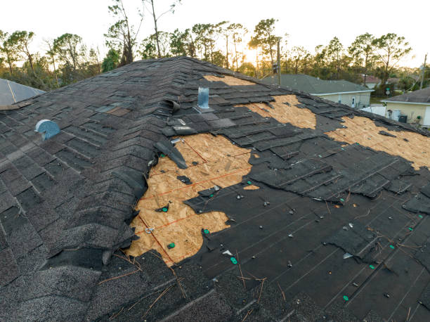 Best Roof Insulation Installation  in Crewe, VA
