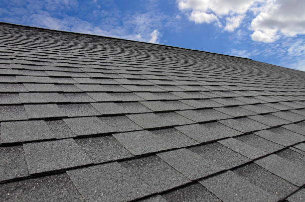 Best Gutter Installation and Repair  in Crewe, VA